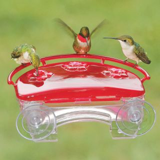 Jewel Box Hummingbird Feeder Thumbnail
